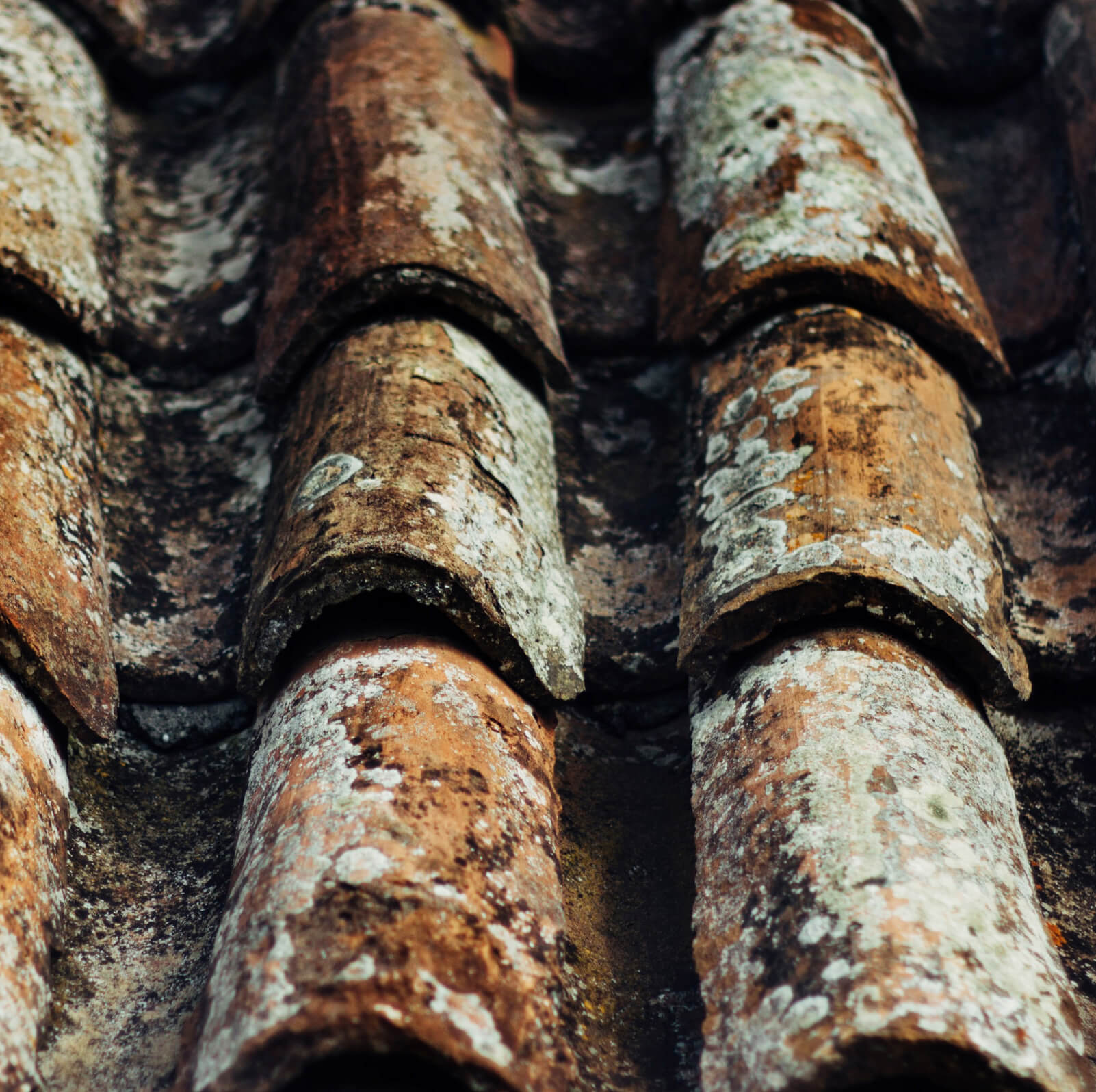 Old roof